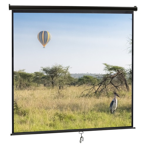 120 inch projector - inch, screen